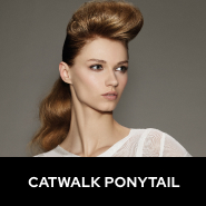 Catwalk Ponytail